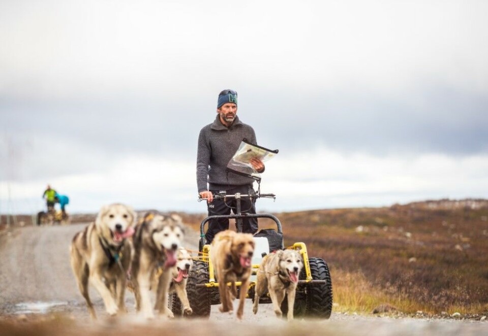 Hundekjøring: Sammen med de andre deltagerne kjempet Jon Almaas mot programleder Tom Stiansen i en etappe bestående av hundekjøring, sykling og puslespill-gåter. Foto: Haakon Lundkvist / TV Norge.