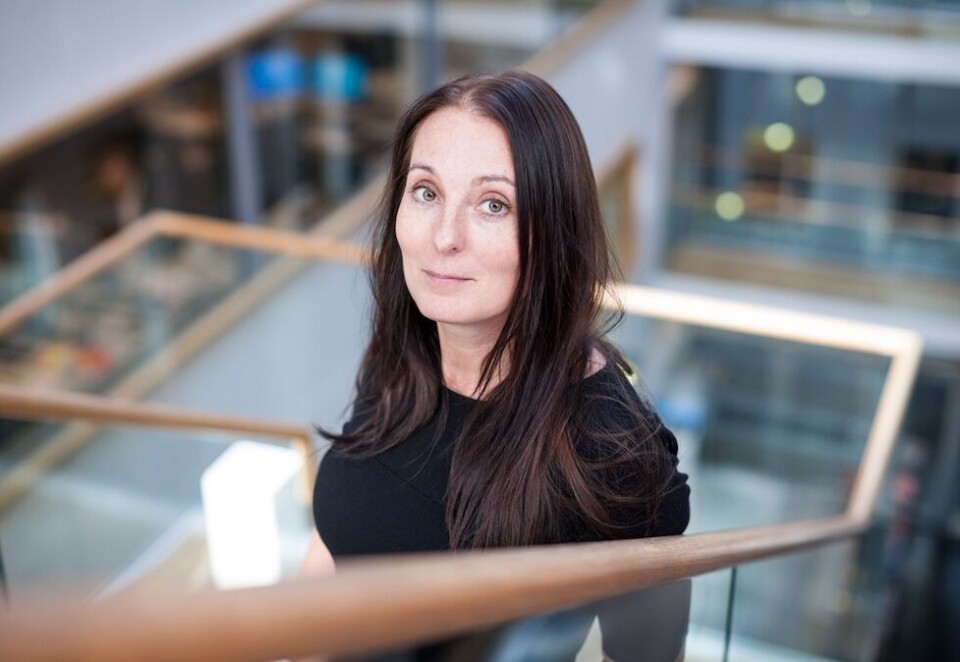 Vi har samarbeidet med Futurum Research for å forstå hva som definerer gode kundeopplevelser i dag, og kommet frem til fem hovedtemaer som driver utviklingen, sier Wenche Nielsen, markedsdirektør i SAS Institute.