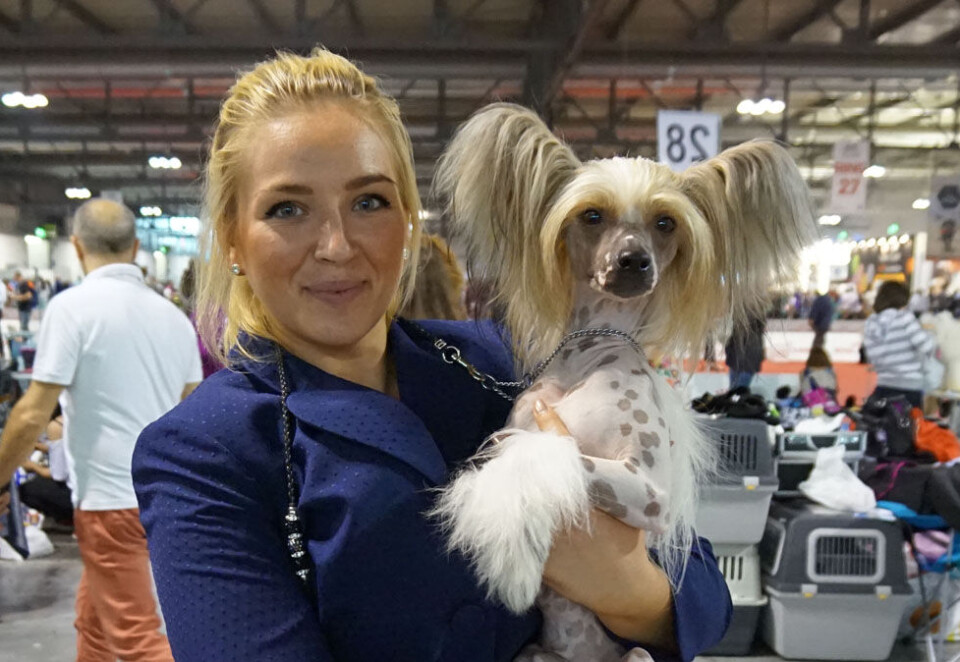Floppet: En av fjorårets flopper, «Et hundeshow», ble raskt tatt av skjermen. Foto: TVNorge