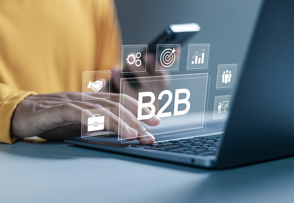 B2B e-handel i 2025: Nye krav, tøffere konkurranse og muligheter for vekst