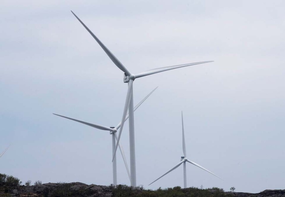 Debatten om vindmøller, fornybar energi og hensyn til natur og naturvern preget norske medier i april. Foto: Terje Pedersen / NTB scanpix