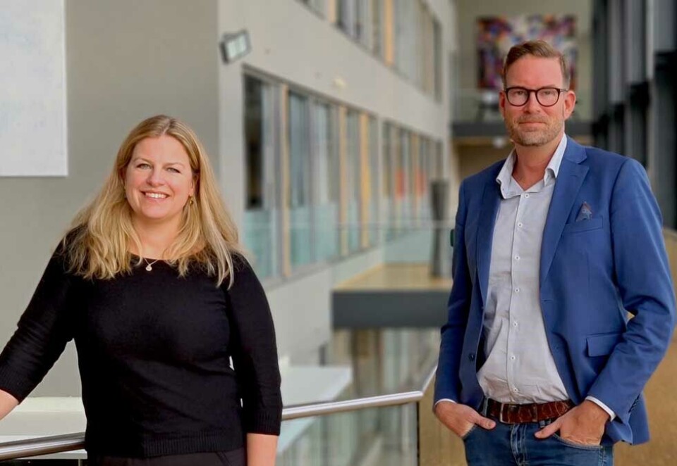 Mer martech: Charlotte Hillestad har fått ansvaret for å trykke på gassen og satse mer på datadrevet og personalisert markedsføring i Storebrand. Lars Erik Jensen hentes derfor fra Telenor for å bidra inn i dette arbeidet. - Ønsket å utvikle meg videre innenfor dette fagområdet, sier Jensen.