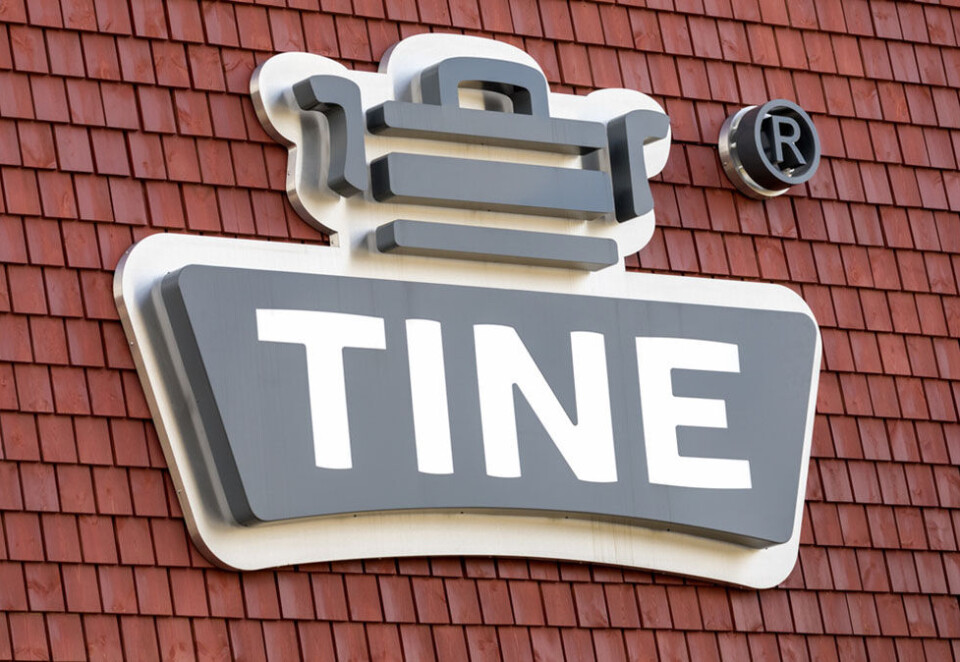 Overrasker: Tines fremgang på målingen overrasker også Ipsos, som står bak undersøkelsen. Foto: Gorm Kallestad/NTB