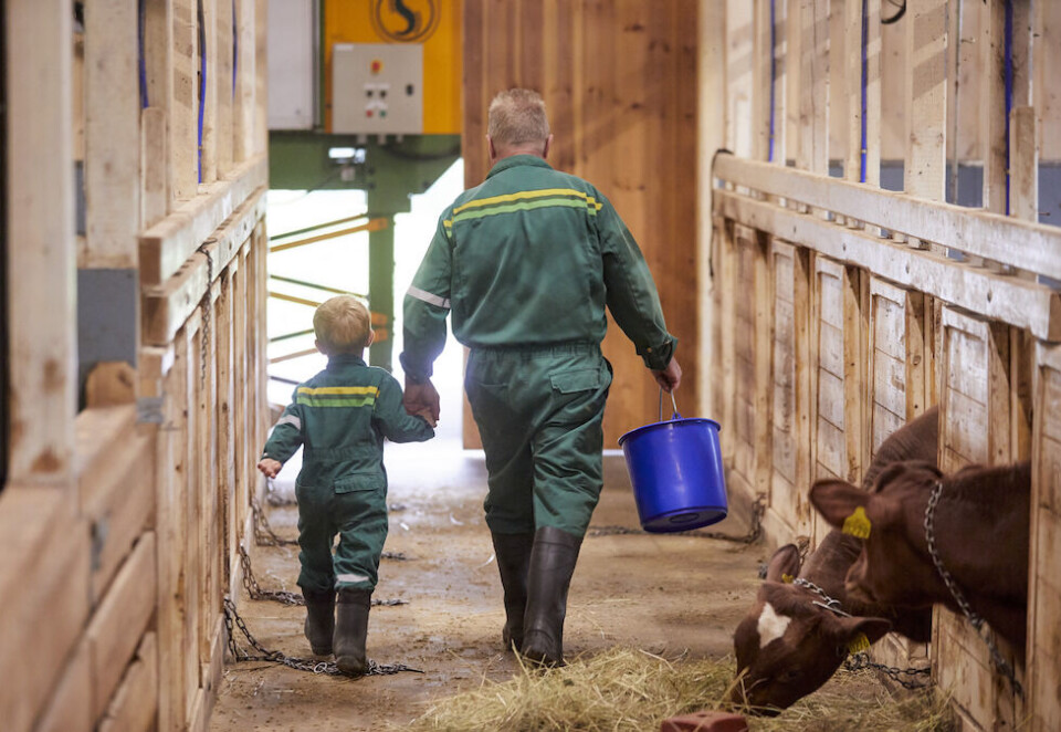 SAMLER MARKEDSAVDELINGEN: - Nå ser vi etter ytterligere forsterkninger og trenger både en sjef for kommunikasjon, en redaktør og en innholdsprodusent, sier Line Hildonen Ramstad, kommunikasjon- og markedsdirektør i Felleskjøpet.