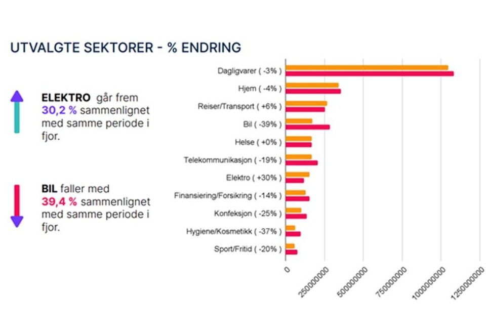 Bilannonseringen stuper: Her ser du hvordan ulike bransjer har investert i reklame de to første månedene i 2024. Kilde: Nielsen.