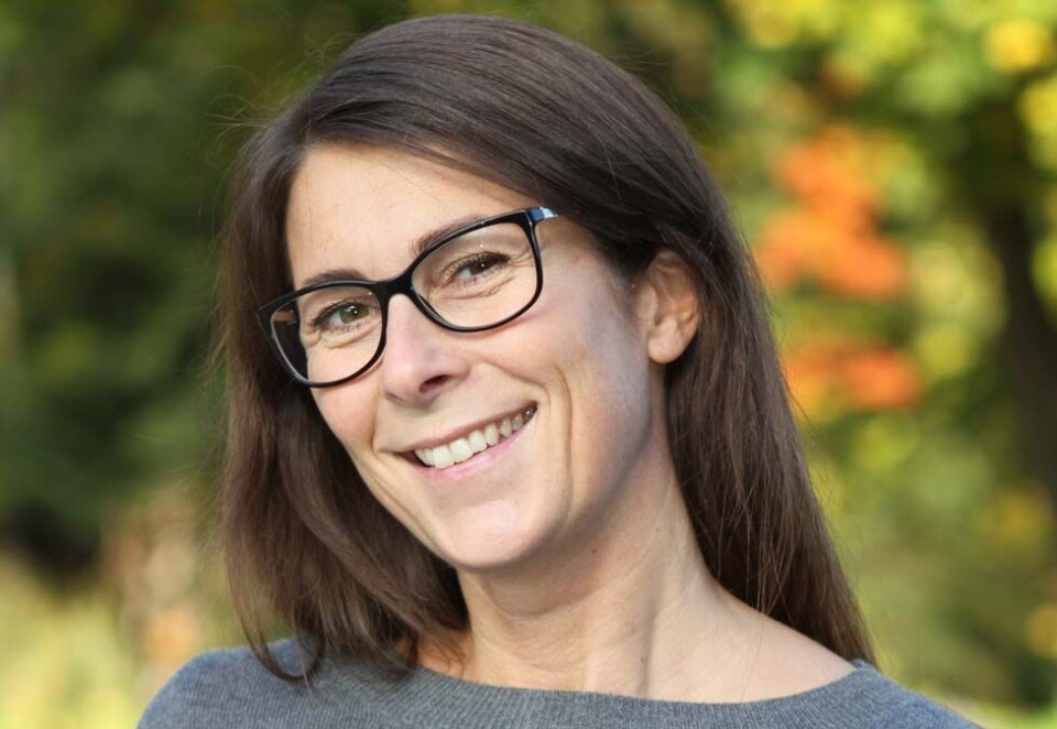 Ser seg ut nytt byrå: Markedsdirektør i Synsoptik. Kathrine Ayling, har sett seg ut et nytt mediebyrå og tar med seg reklamekontoen på rundt 70 millioner kroner brutto fra MEC til IUM. - IUM som fremstod best av alle i denne pitsjprosessen, sier hun.