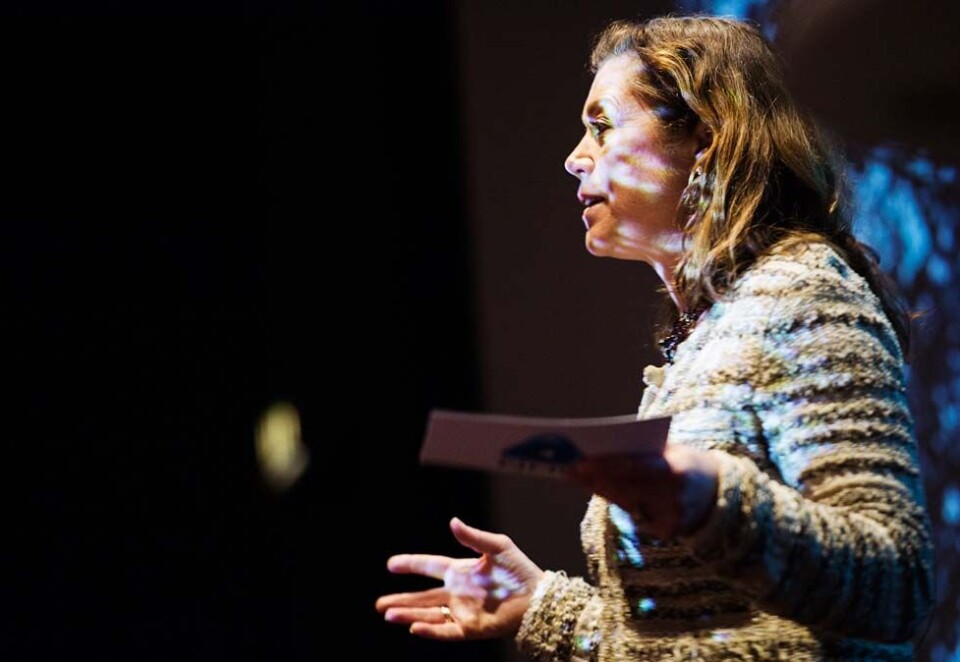 Kommenterer VG-dekning: Konsernsjef Kristin Skogen Lund i Schibsted gikk langt i å kommentere VGs dekning av Nicolai Tangens ansettelse som sjef i Oljefondet. - Jeg er ikke redd for å si at jeg har irritert meg over saken, sier Skogen Lund.