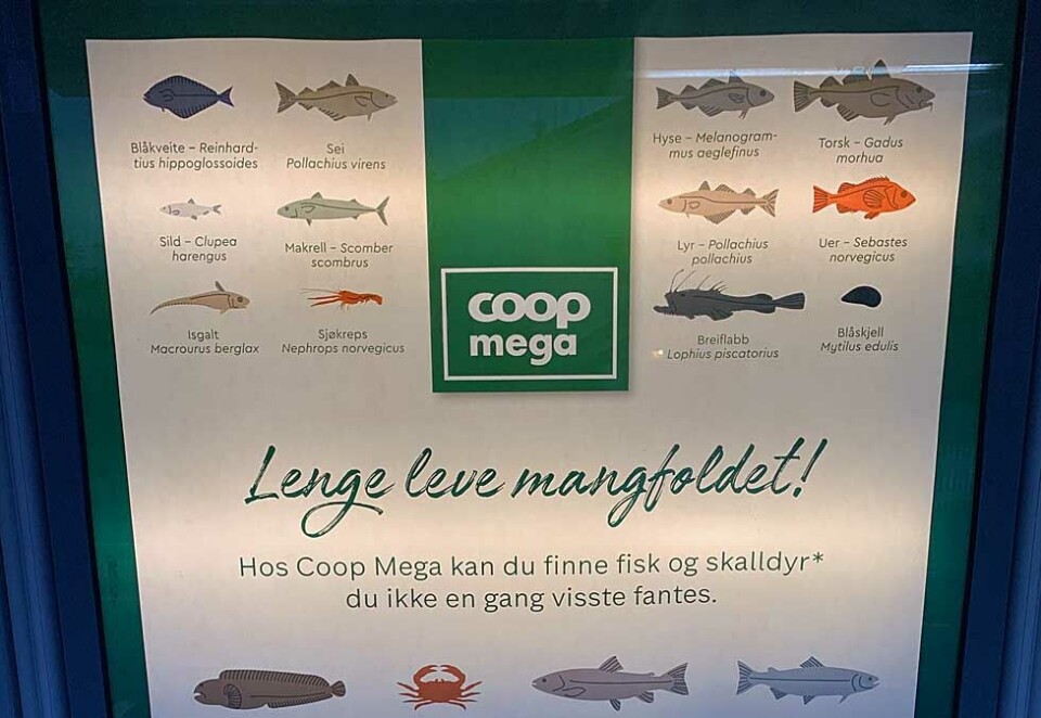 Reagerer på Coop Mega-reklama: Ola Øvrelid i Kitchen reagerer på timingen til Coop Mega for å slå opp denne utendørsreklamen om mangfoldet av fisk. - Skal man ut og opptre i det offentlige rom som en butikk som er for alle, bør man søren meg ta seg en litt tid til å stemme pianoet først, skriver Øvrelid.