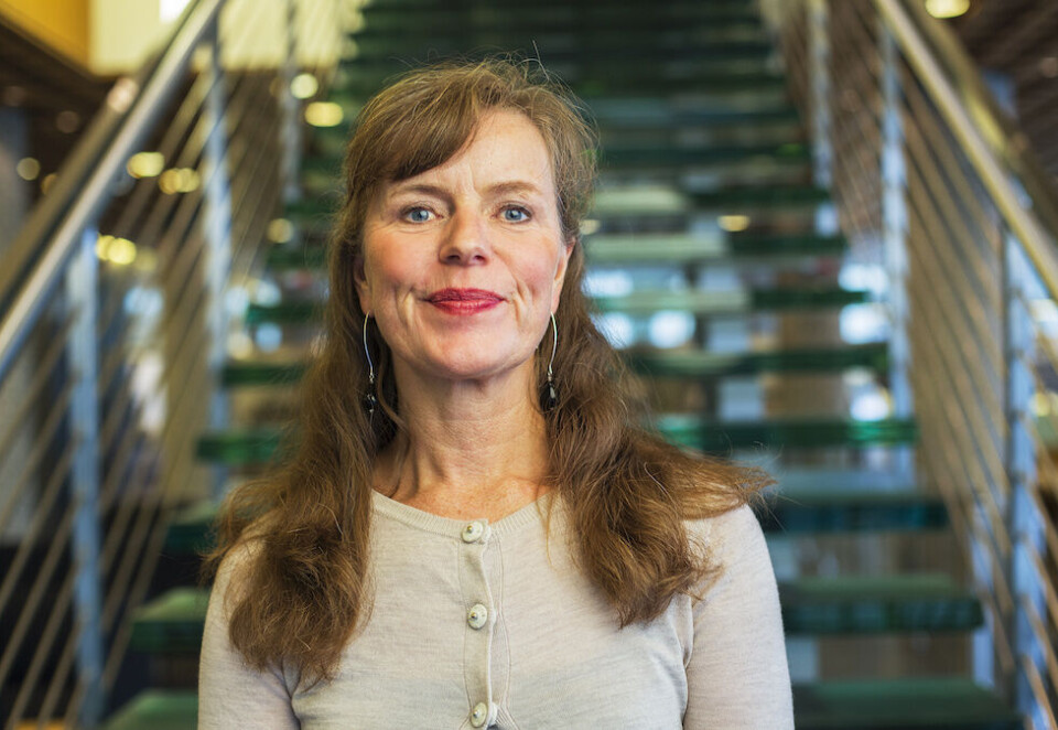 Lager retningslinjer: Advokat og direktør for arbeidsrett og HMS i Abelia, Birgit Abrahamsen. Foto: Esben Johansen