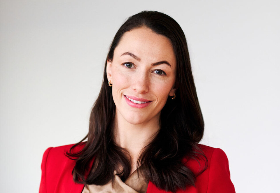 - Verstingbransje: Hanne Christensen Lystad, bransjeleder rådgivning i Virke, mener kommunikasjonsrådgivere fortsatt pekes på som «en verstingbransje i politiske miljøer». - Det er trist at folk med unik kunnskap om samfunnet er henvist til fryseboksen på den måten, skriver hun.