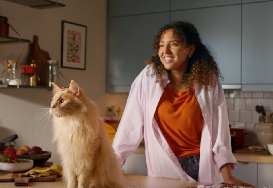 Kattepus: Risotto har tatt over rollen til Otto. Skal vi tro det kreative teamet er pusen den rake motsetning av hunden Otto. Skjermbilde: Norsk Tipping