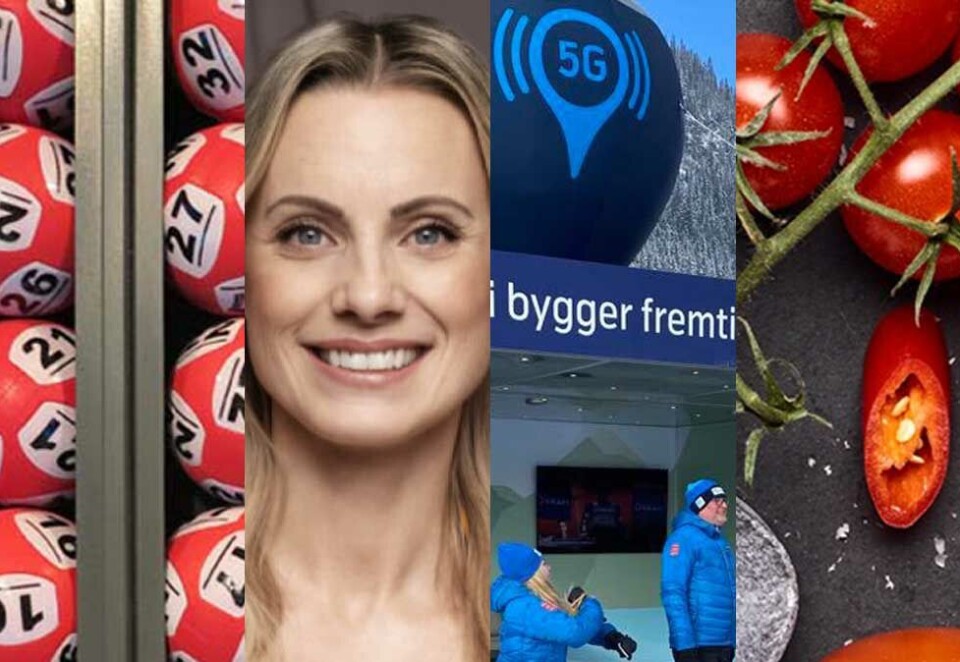 Fire annonsører om krisen: Norsk Tipping, DNB, Telenor og Rema 1000 har tatt ulike grep for å håndtere koronakrisen. Noen har redusert reklametrykket, mens andre har økt.