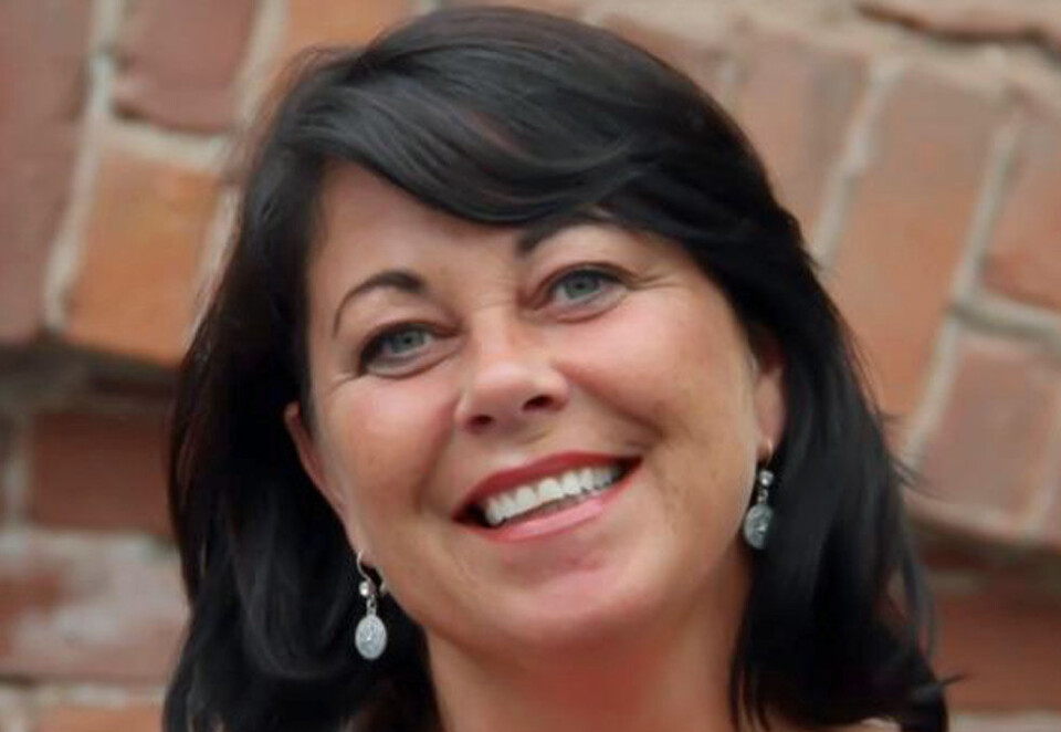 Legger nye planer: Bente Bratland Holm har vært reiselivsdirektør i Innovasjon Norge siden februar 2017 og er nå klar med sine nye reklameplaner. Hun kom fra stillingen som administrerende direktør i Visit Oslo.