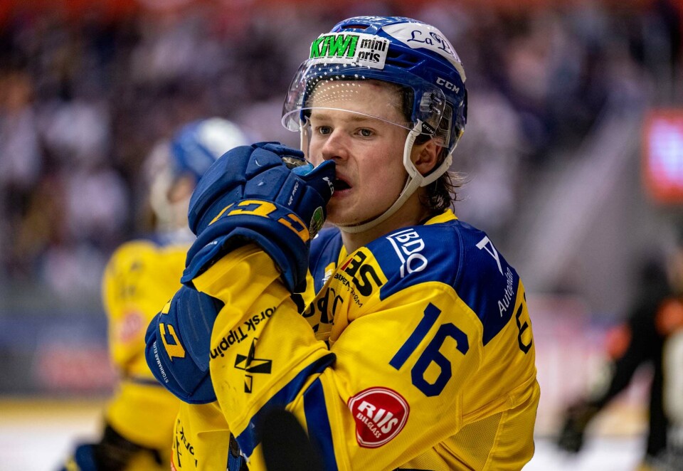 Jakter hockeysponsorer: Norges ishockeyforbund må ut å jakte både egne sponsorer og ny ligasponsor. Her tapende NM-finalist Patrick Rorbu Elvsveen fra Storhamar som måtte se bøtta glippe i finalen mot Stavanger Oilers. Foto: NTB:
