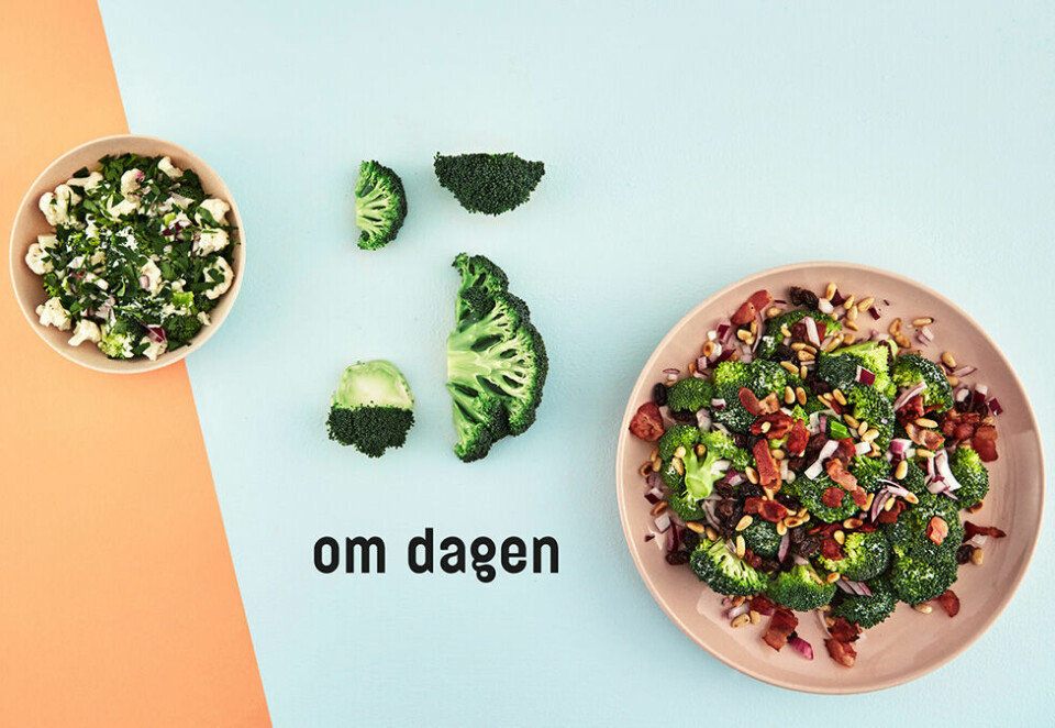 5 om dagen logo/identitet
