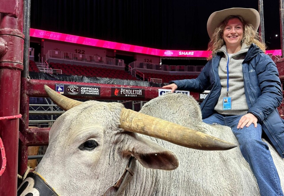 På okseryggen: - I hverdagen vår, både på jobb og privat, møter vi så mange hyggelige og smarte mennesker, og vi ser et USA som vi bare forelsker oss mer og mer i, sier Huse Amundsen.