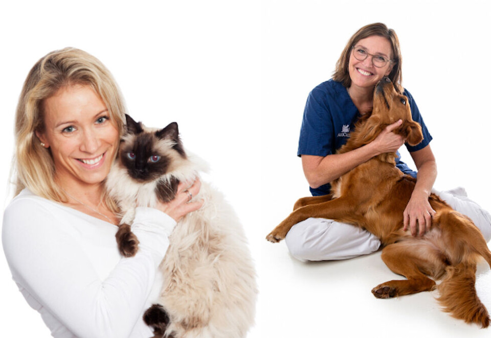 Advarer: Mops og fransk bulldog og katter som perser og scottish fold er eksempler op dyreraser reklamebransjen bør unngå, mener Christina Strand Thomsen, sjefsveterinær Anicura Dyresykehuset Bergen Nord og Helen Øvregaard, veterinær fagsjef for klinisk kommunikasjon hos Anicura.