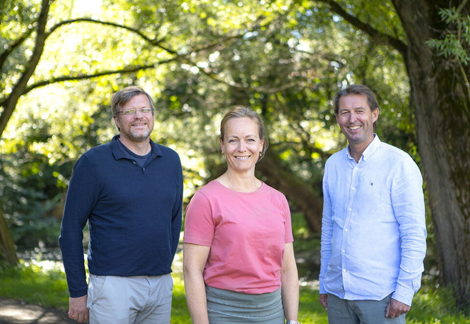 Ny sjef: Fra venstre: Mads Høyby, Guro Soelberg Martinsen og Martin Lønne i marketingbyrået Molte.