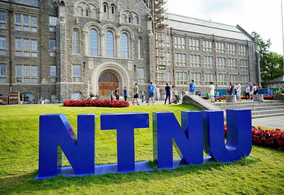 Kan få budsjettkutt: Regjeringen foreslår å kutte 40 millioner i statlige virksomheters konsulentbruk, og NTNU må ta 4,3 millioner av kuttene. - Jeg er ikke kjent med at NTNU bruker midler på PR-arbeid, sier kommunikasjonssjef. Foto: Ole Martin Wold/NTB