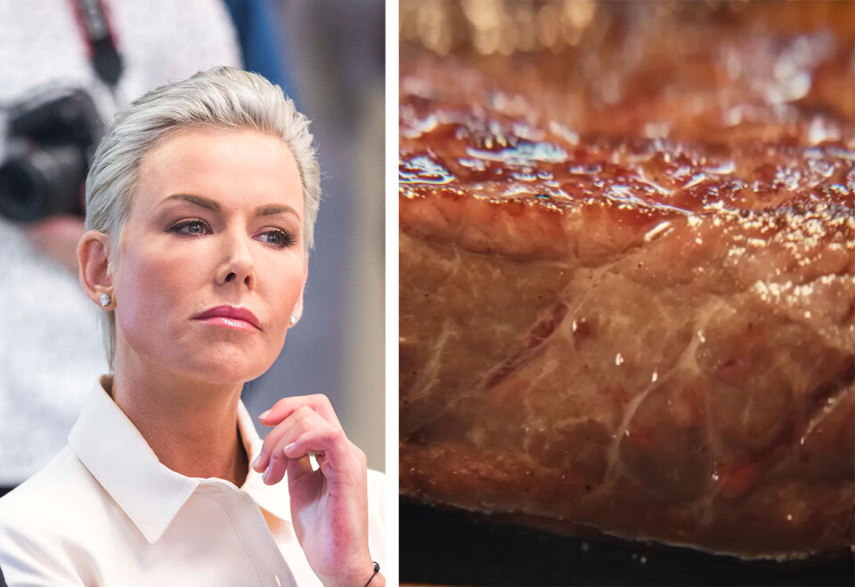 Reagerer på Coop-reklame: Gunhild Stordalen jobber for et bærekraftig forbruk av mat gjennom organisasjonen EAT. Hun mener Coops siste reklamestunt der et stykke rødt kjøtt opptar hele reklamepausen på TV 2 er uhørt. Foto: Terje Pedersen (NTB)/Coop