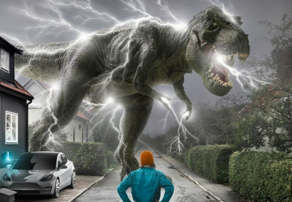På jakt: Tibber går offensivt til verks når de nå jakter nye strømkunder. I strømselskapets første markedskampanje kaller de konkurrentene dinosaurer. -- Med glimt i øyet ønsker vi å belyse hvordan de tradisjonelle strømselskapene opererer på en måte som hører fortiden til, sier Elina Koivisto i Tibber.