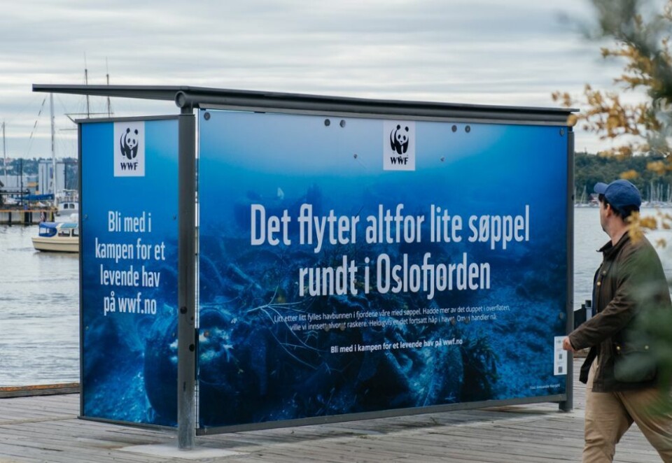 Sterkt budskap: WWF slår alarm i den nyeste kampanjen. Nå håper de at politikerne får øye opp for budskapet. Foto: WWF/Smeh