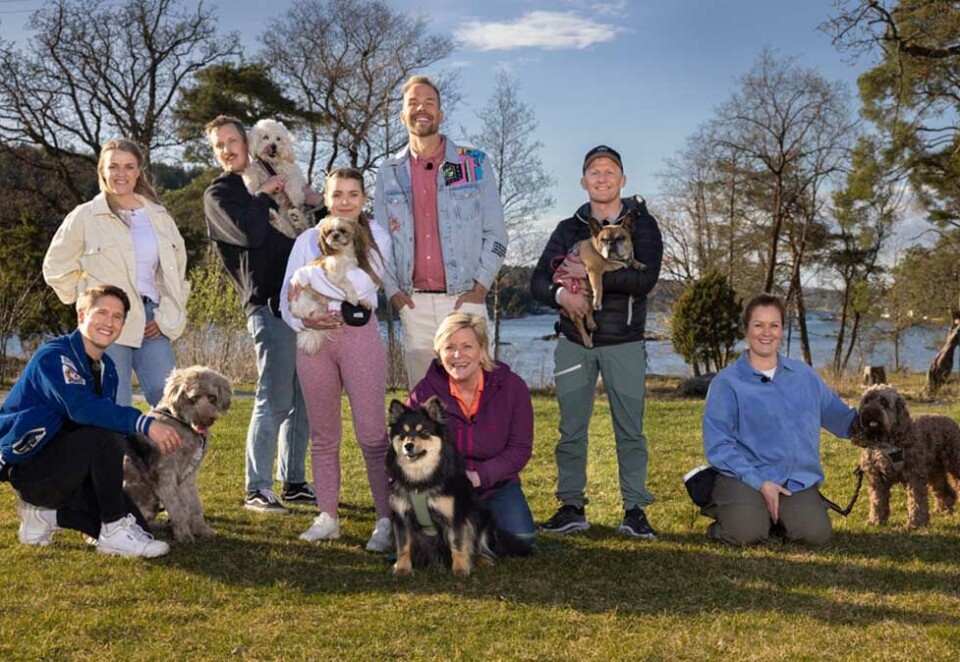 Nytt kjendisprogram: Hvem har Kjendis-Norges flinkeste hund? I det nye underholdningsprogrammet «Gi labb» kan TV 2s seere i sommer følge seks kjendiser og deres pelskledde bestevenner. Foto: Espen Solli/TV 2