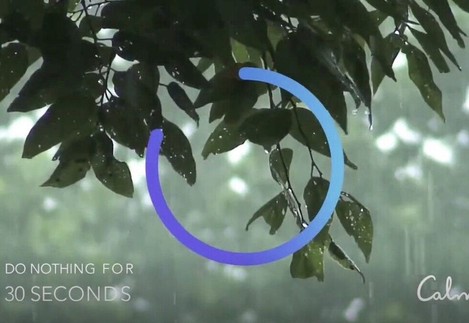 Meditasjonsapp: Calm oppfordret amerikanere til å slappe av i 30 sekunder under tirsdagens valgkveld. Det er en oppfordring som formodentlig fortsatt står ved lag.