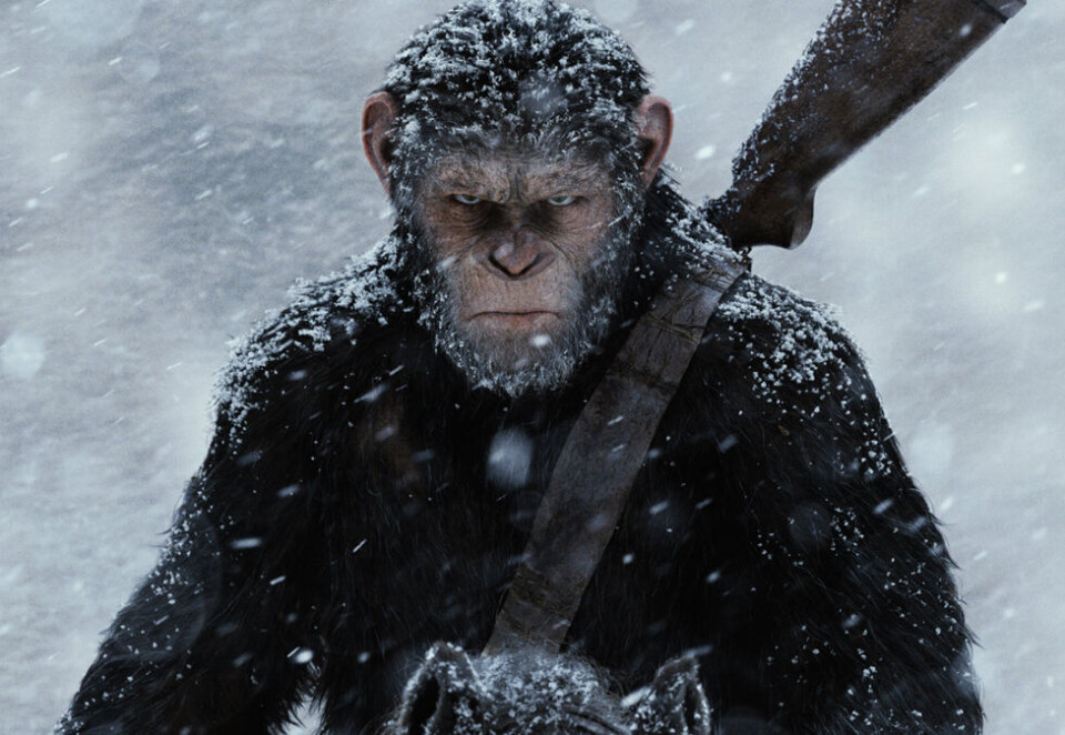Kinofavoritt: «War for the Planet of the Apes», som hadde norgespremiere i forrige uke, er blant filmene som trekker publikum til kinosalene i sommer.