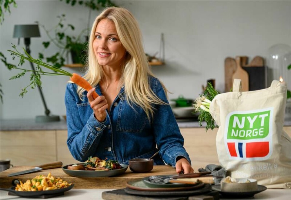 Fra innsikt til influensere