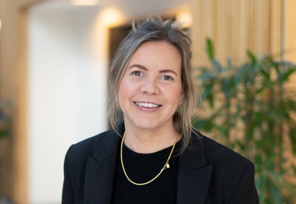 Planlegger ny kampanje: Marianne Aune Solheim i Storebrand vil ikke fortelle alle planene for sommeren, men kan røpe at både veggedyrkontrollen og skrekksenga kommer tilbake.