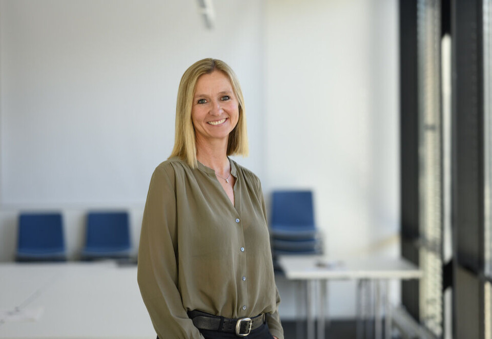 Erstatter Therese Manus: Anne-Lise Mørch von der Fehr tiltrer som leder av Kommunikasjonsforeningen 3. januar 2023. Foto: Kommunikasjonsforeningen.