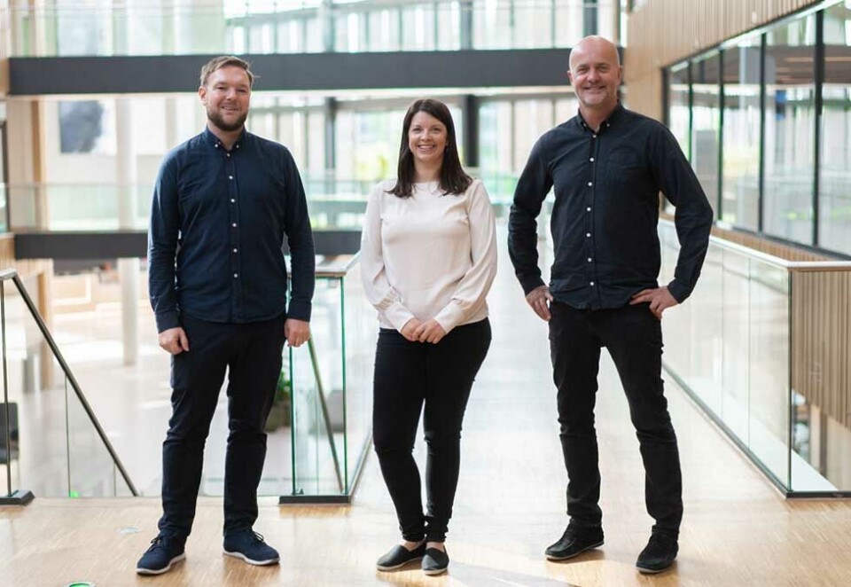 Mer TV-muskler: Morten Vee, Cathrine Eldorhagen og Lars Hognestad begynner i alle i Storebrand for å gi bank og forsikringsselskapet mer TV- og videomuskler. - Hvordan vi kommuniserer med både kunder og medarbeidere har endret seg radikalt de siste årene – og det har skutt fart under pandemien, sier markedsdirektør.