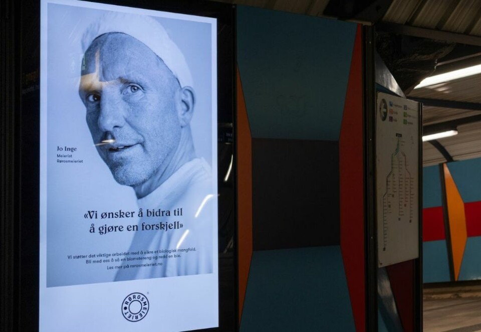 Ny kampanje: Etter en byråkonkurranse før jul i fjor, ble det klart at Rørosmeieriet valgte Molo&Co som ny reklamepartner. Nå vises de første resultatene av samarbeidet. Foto: Rørosmeieriet/Molo&Co