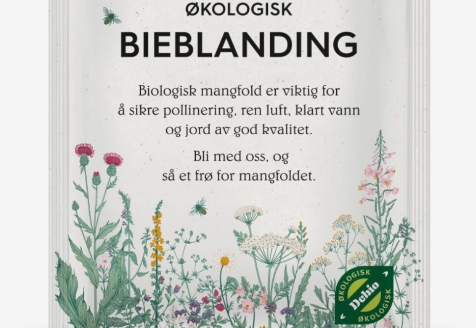 Redd en bie: I løpet av sommeren vil Rørosmeieriet gi ut 25.000 gratis frøposer med en oppfordring til å plante en liten blomstereng og å redde en bie.