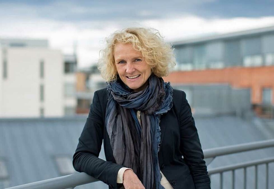Reagerer: Direktør i Barne-, ungdom- og familiedirektoratet, Mari Trommald, er ikke imponert over hvordan eget PR-byrå, GK, har fremstått i debatten om mangfold. Foto: Bufdir.