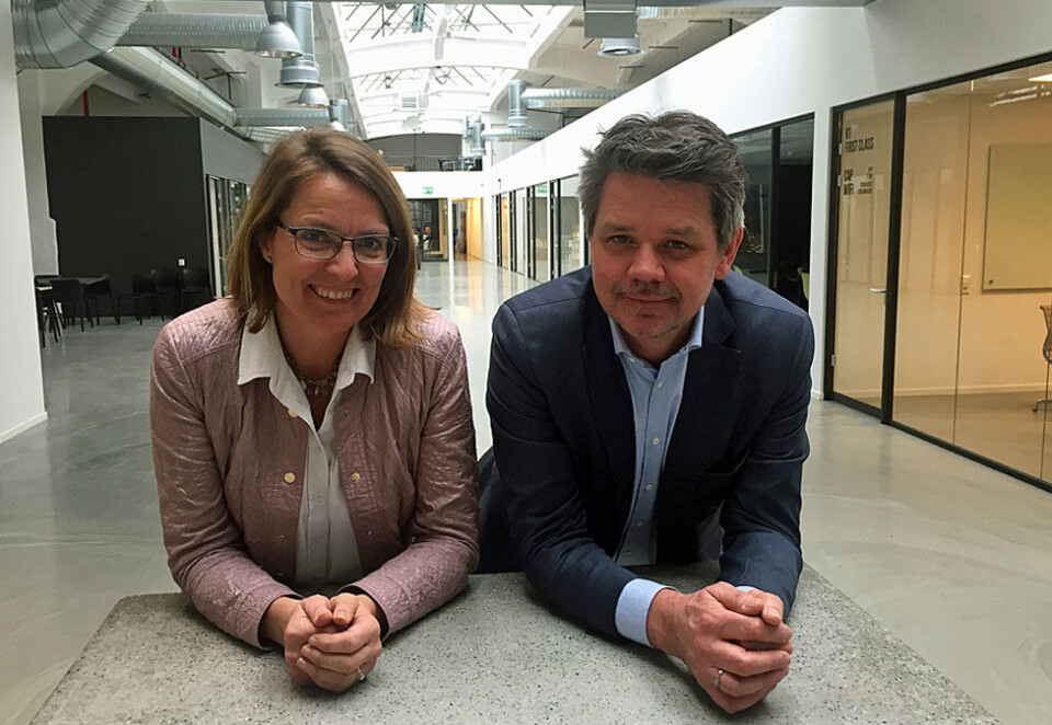 Tar over og kjøper: Nordisk konsernsjef i Creuna, Torstein Harildstad, tar over som sjef for den norske delen og starter opp med å kjøpe rådgivningsmiljøet Kobra. - Vi tror dette oppkjøpet styrker Creuna som arbeidsgiver i kampen om de beste hodene, sier Harildstad. Foto: Knut Kristian Hauger.