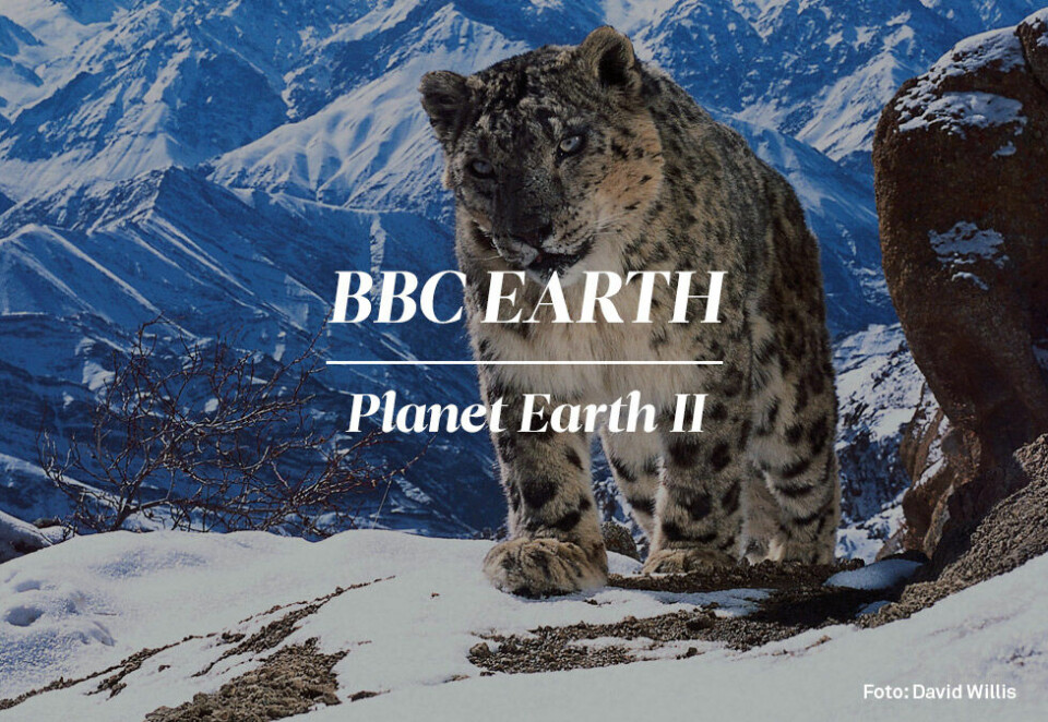 BBC Earth - Planet Earth II