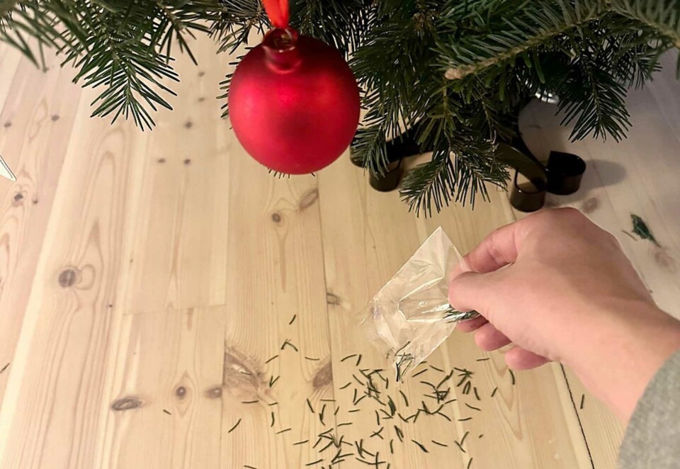 Nytt og nyttig (?): Produktet, som prises til 89 kroner for en liten pose, skal gjøre opplevelsen med plasttre noe mer naturtro. Foto: Ring 2