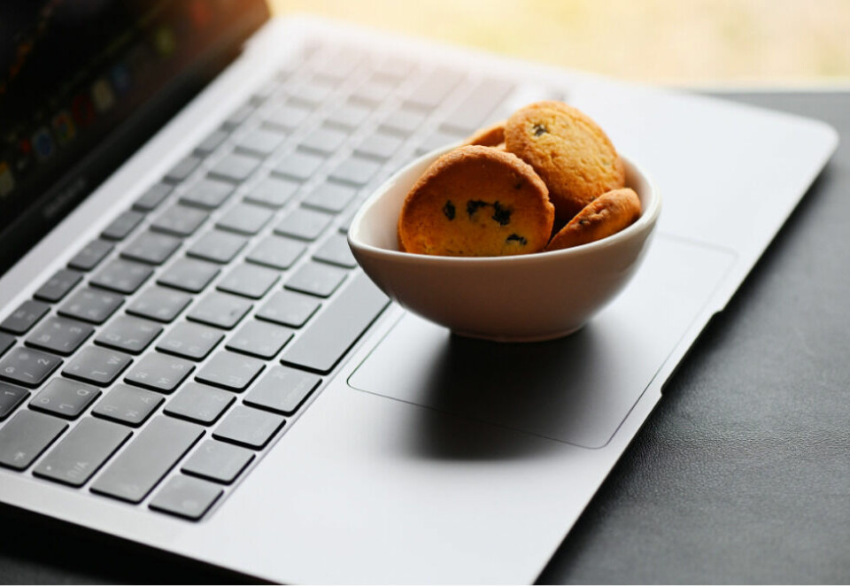 Nye ekom-regler i 2025: Har du cookies-kontroll?