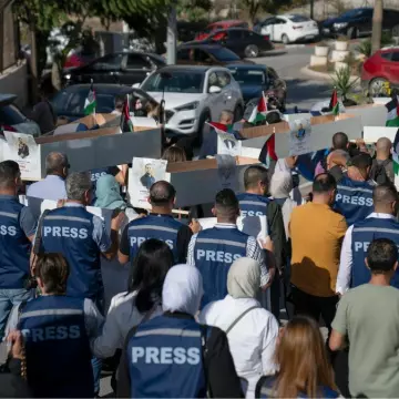 317 journalister 