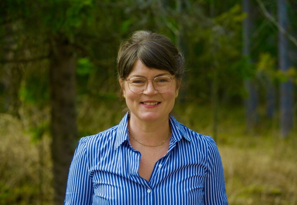 Fra Posten til NAV: Om en knapp måned tar Beth Stensen fatt på drømmejobben som direktør for brukeropplevelser i NAV. Foto: Privat