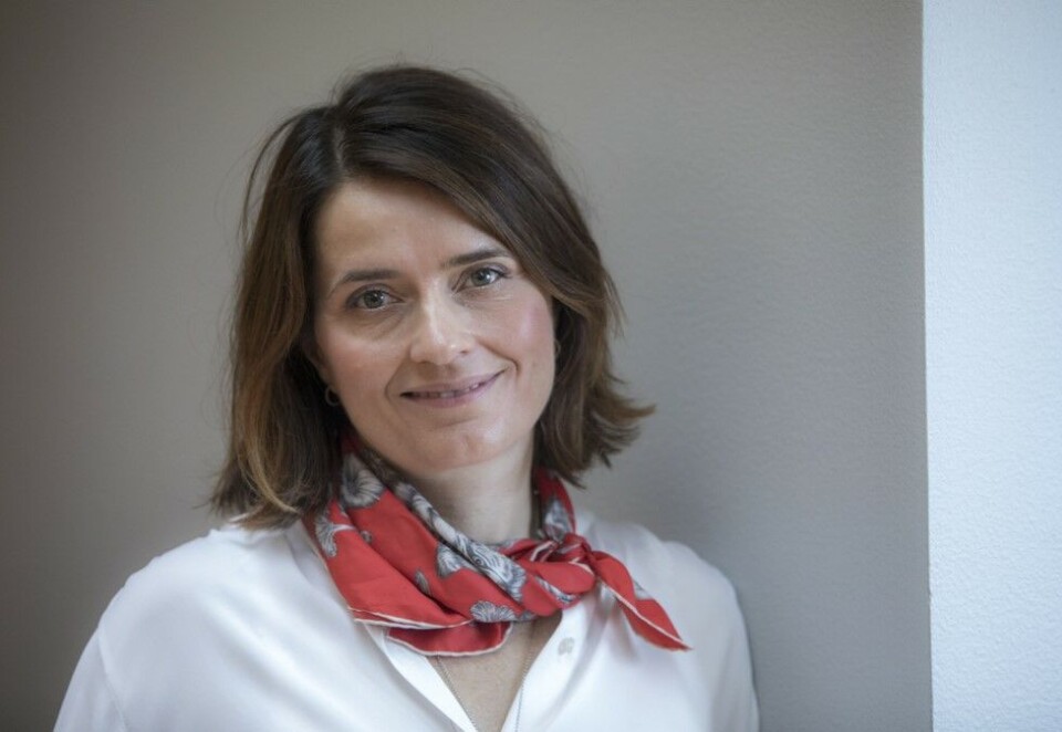 Jobber med saken: Kjersti Mo, direktør i Norsk Filminstitutt, har laget handlingsplan for mer inkludering i norsk film. Foto: Ole Berg-Rusten / NTB