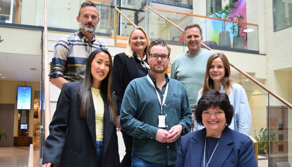 Ny WPP Media-ledelse: Fra venstre: Chris Wyatt McMillan, Ann Jack, Hanne Jegleim, Jan Berthrand Danielsen, Geir Hagnes, Inga Gjervik og Cathrine Hagen (foran). Mads Rikter-Svedsen var ikke til stede da bildet ble tatt.