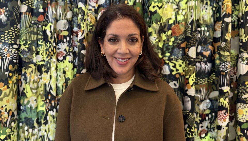 Ny i klassen: Ikeas nye markedssjef, Puja Agarwal, føler at hun fortsatt er den nye i klassen. - Men det gir meg også rom til å stille alle spørsmålene og være nysgjerrig og det synes jeg er en styrke, sier hun.