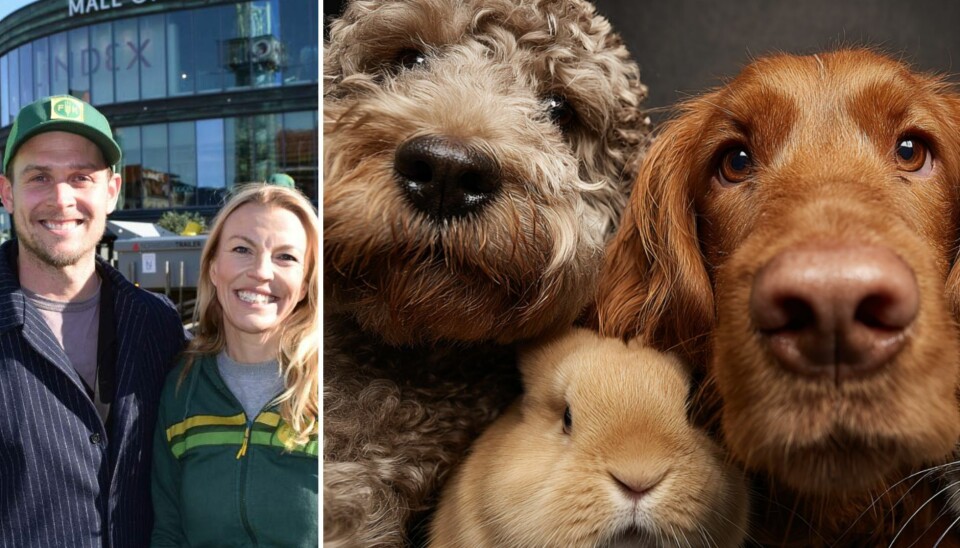 Første gang: Smeh-sjef Aleksander Hetland og konserndirektør Line Hildonen Ramstad i Felleskjøpet er klar med en ny kampanje skapt med hjelp av kunstig intelligens.